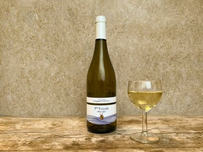 Bouteille de vin blanc - Muscadet, domaine Ménard-Gaborit - 1ère Escale bio